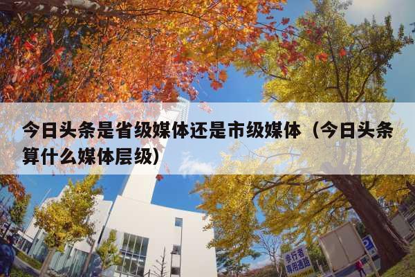 今日头条是省级媒体还是市级媒体(今日头条算什么媒体层级)