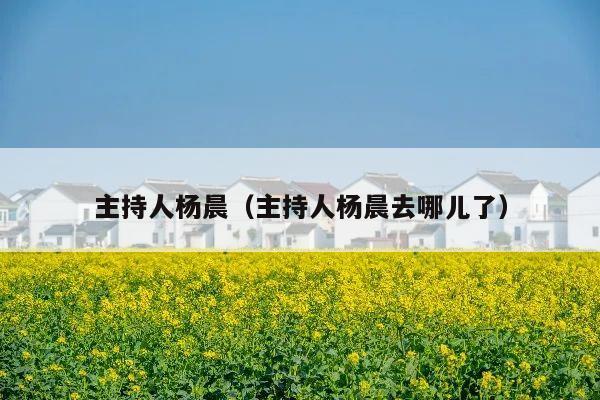 主持人杨晨(主持人杨晨去哪儿了)