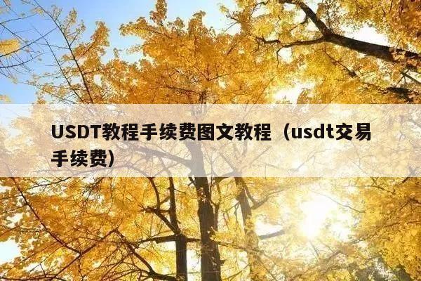 USDT教程手续费图文教程(usdt交易手续费)