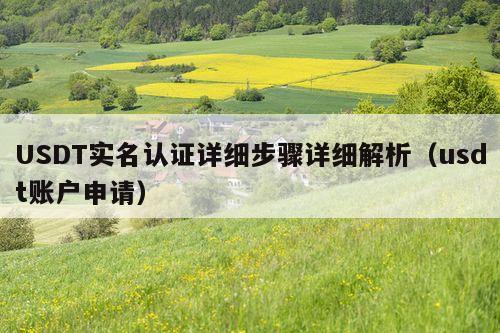 USDT实名认证详细步骤详细解析(usdt账户申请)