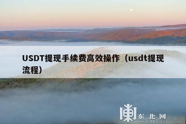 USDT提现手续费高效操作(usdt提现流程)