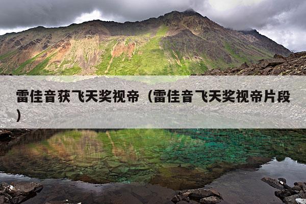 雷佳音获飞天奖视帝(雷佳音飞天奖视帝片段)