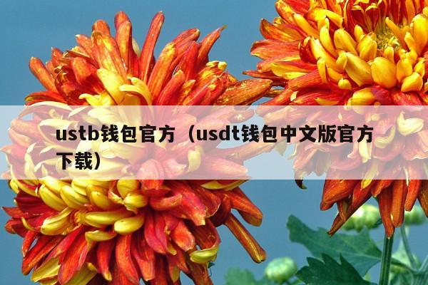 ustb钱包官方(usdt钱包中文版官方下载)
