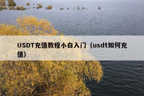 USDT充值教程小白入门(usdt如何充值)