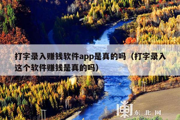 打字录入赚钱软件app是真的吗(打字录入这个软件赚钱是真的吗)