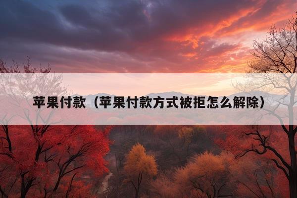 苹果付款(苹果付款方式被拒怎么解除)